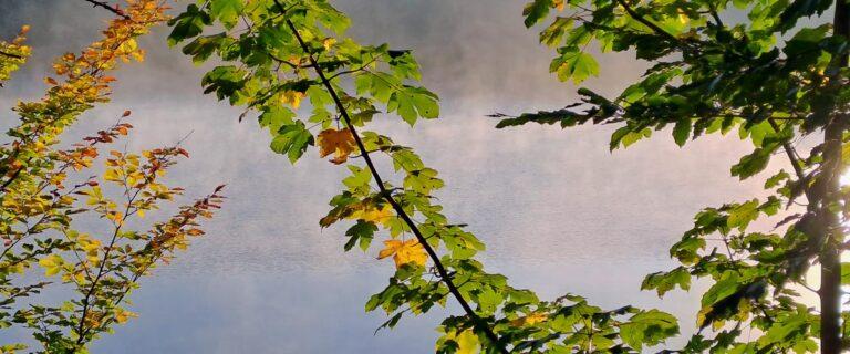 Herbst in Bad Mitterndorf