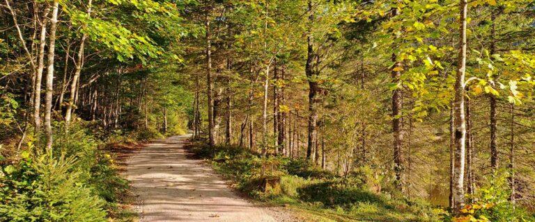 Wanderwege in Bad Mitterndorf